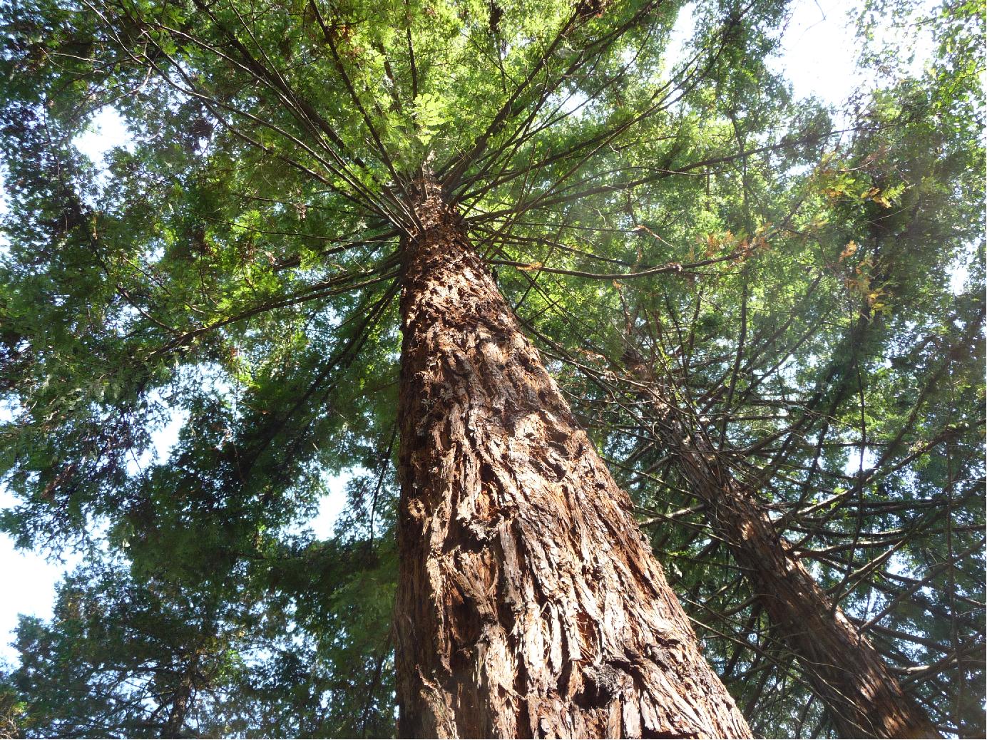 c0209578_1255276.jpg
