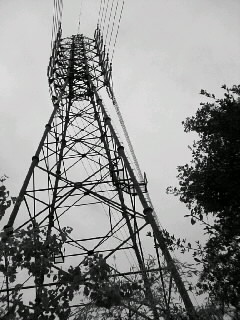 f0100480_20385670.jpg
