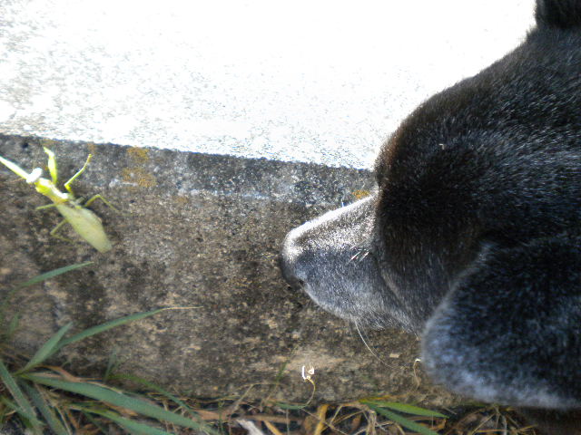 d0142182_22243972.jpg