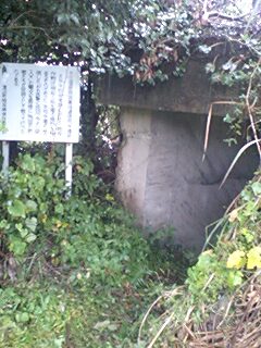 f0048182_2236596.jpg