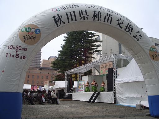 c0144683_21355037.jpg
