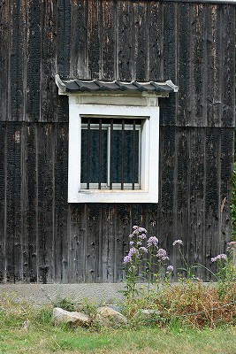 e0190885_1948182.jpg