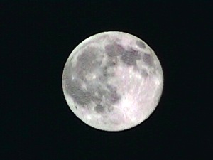 c0151691_2324189.jpg