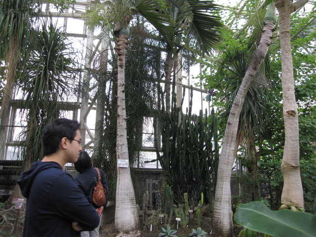 f0059291_1827391.jpg