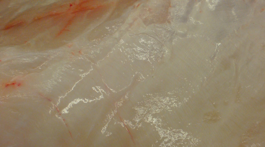 f0084695_14121539.jpg