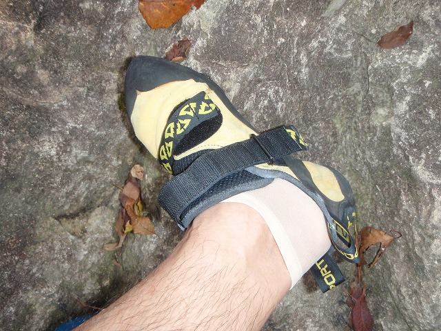 c0147398_23381431.jpg