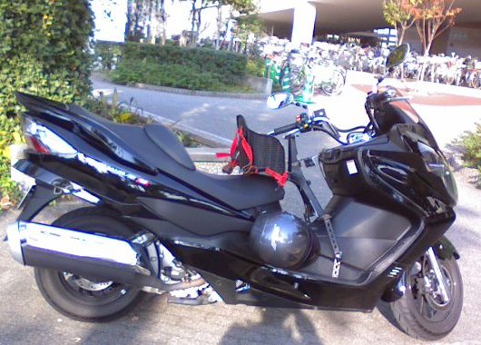 a0031000_17373974.jpg
