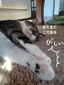 c0035001_1555210.jpg