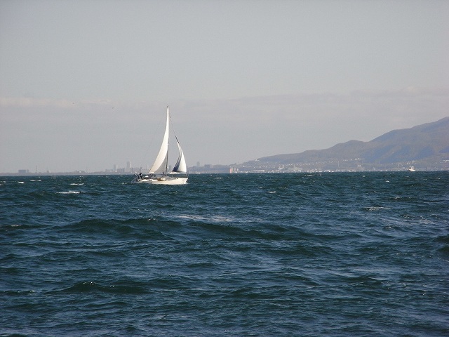 f0157901_16271841.jpg