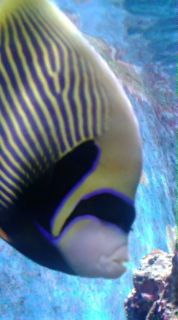 e0041902_13174970.jpg