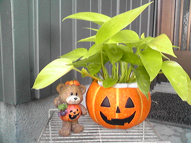 f0079202_15541997.jpg