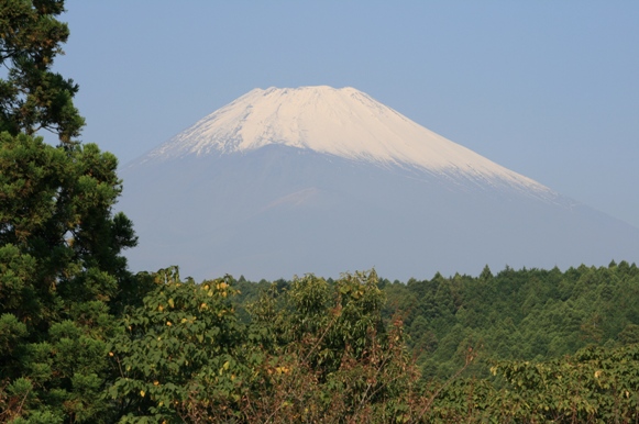 f0187704_23242489.jpg