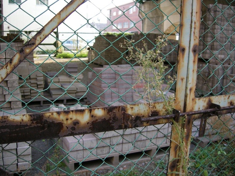 e0182505_21581313.jpg