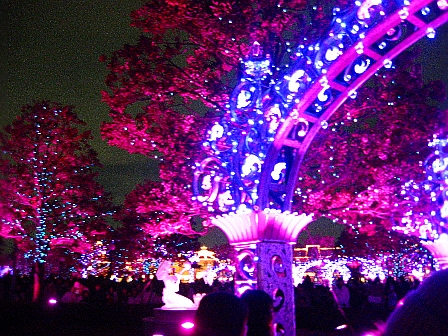 c0110906_20582575.jpg