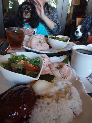 b0072515_0254841.jpg