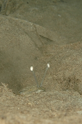 b0155916_7445770.jpg