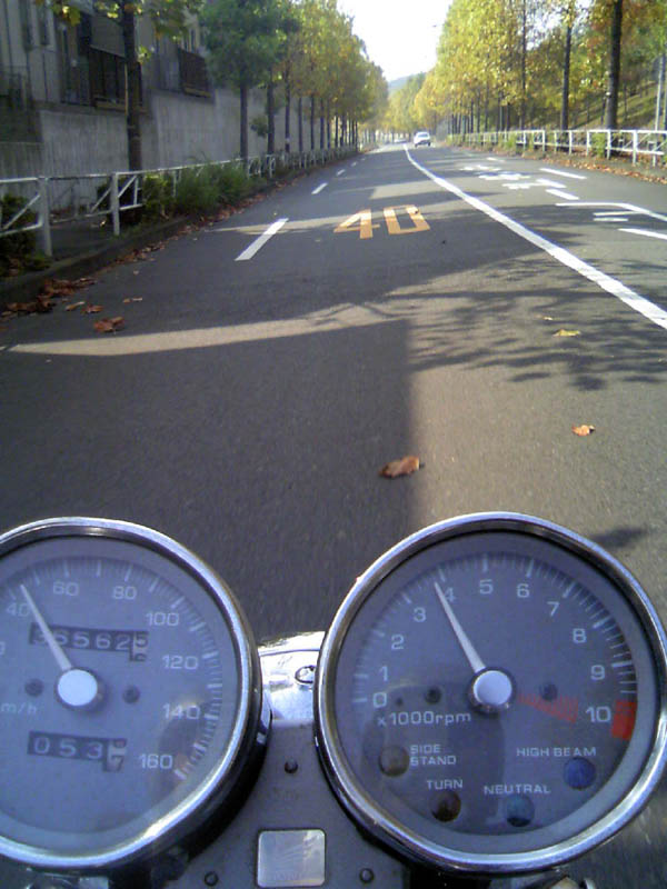 c0083518_2002963.jpg
