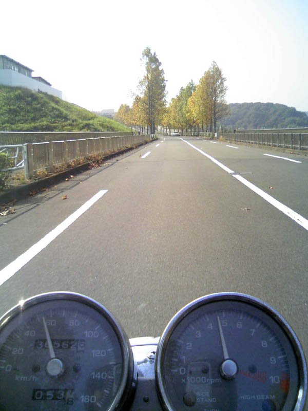 c0083518_2003543.jpg