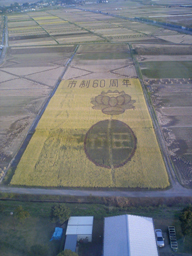 d0106518_0142844.jpg