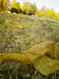 e0057318_1718712.jpg