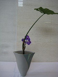 e0170519_2223263.jpg