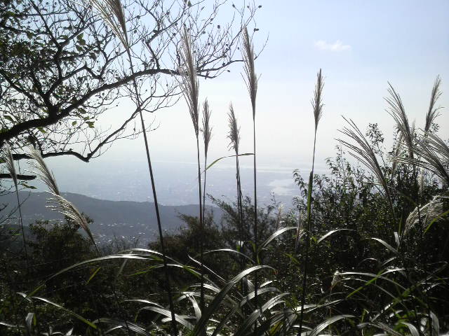 c0225420_21463687.jpg