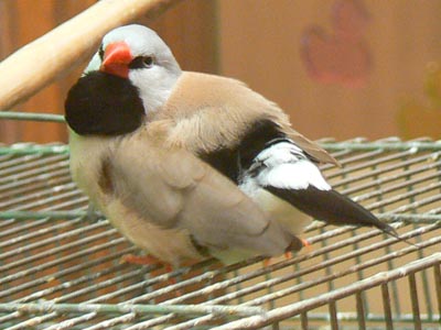 e0148120_23324022.jpg