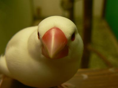 e0148120_23325069.jpg