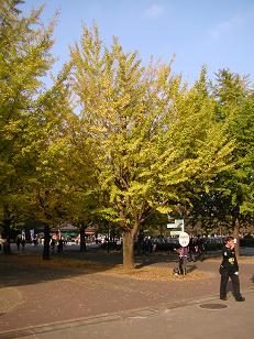 c0193425_2235427.jpg