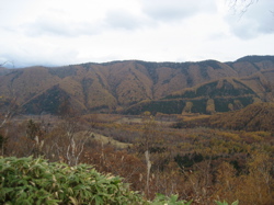 e0002927_1844753.jpg