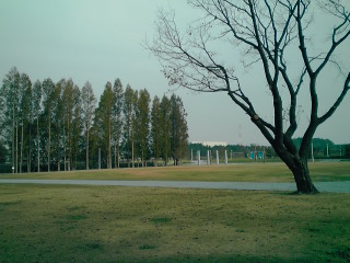 c0059529_13182769.jpg