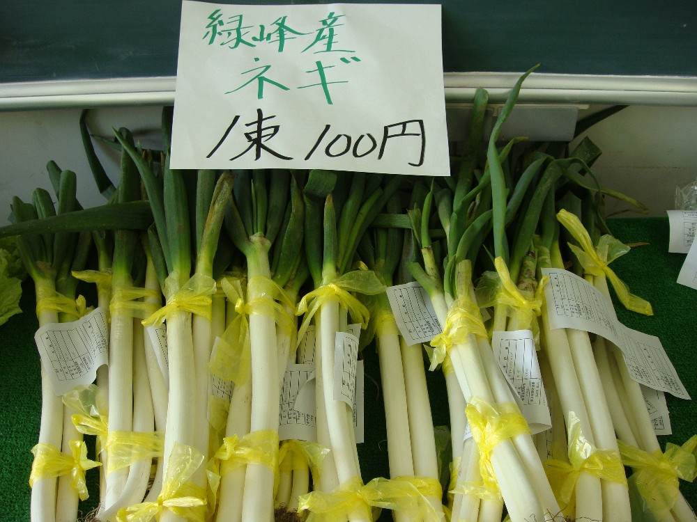 c0111229_17254920.jpg