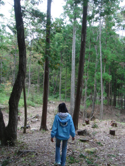 c0100534_1143669.jpg