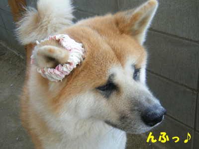 f0008935_14483371.gif