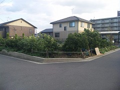 b0149237_16553632.jpg
