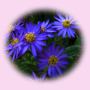 c0068639_15215612.jpg