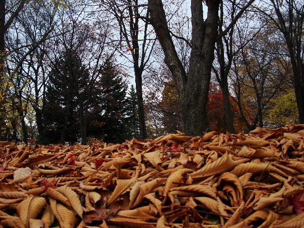 e0111346_21318.jpg