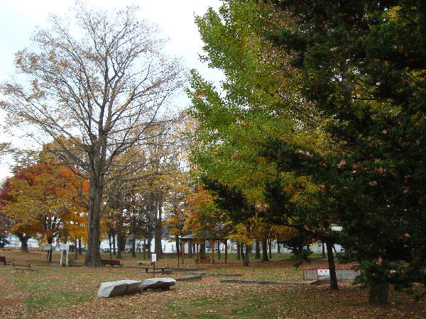e0111346_215835.jpg