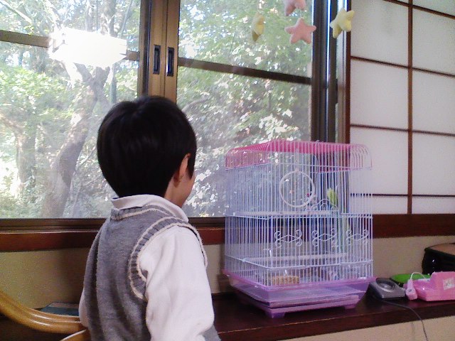 f0111747_20391267.jpg