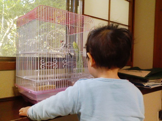 f0111747_20403213.jpg