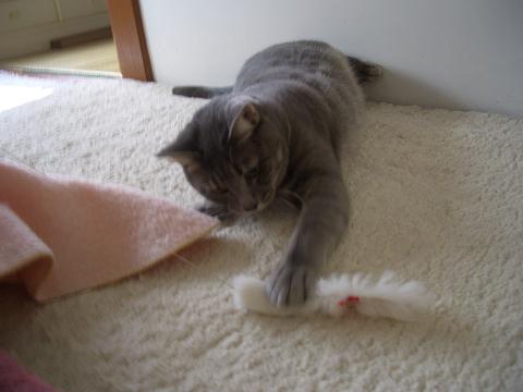 c0179048_17141182.jpg