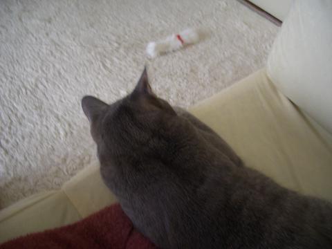 c0179048_17145249.jpg