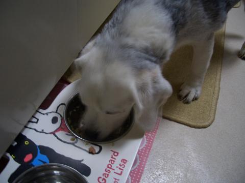 c0179048_17153936.jpg