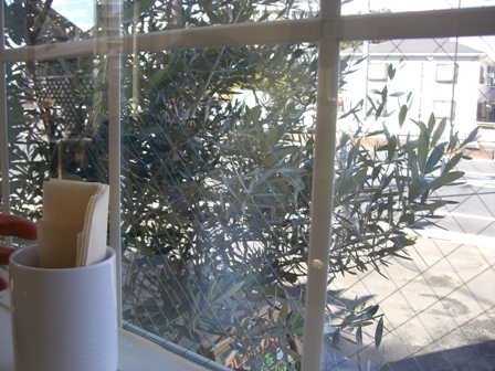 e0183648_13135165.jpg