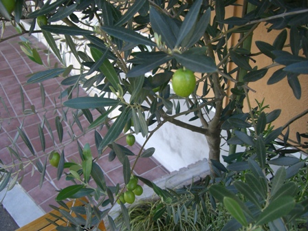 e0183648_13162237.jpg