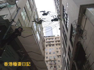 f0190653_2275162.jpg