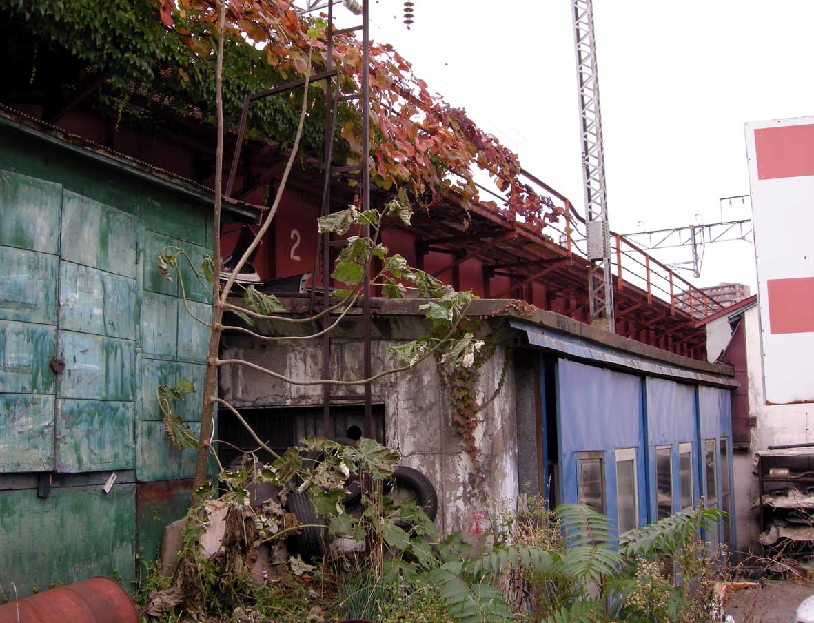 f0027355_0362638.jpg