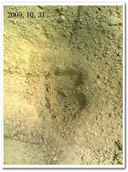 f0184055_172663.jpg