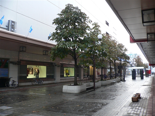 d0028665_176275.jpg