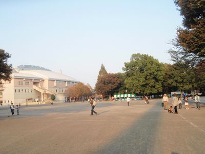 c0151866_20442353.jpg